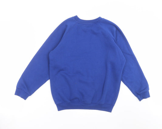 westex Boys Blue   Pullover Sweatshirt Size 12-13 Years  - school
