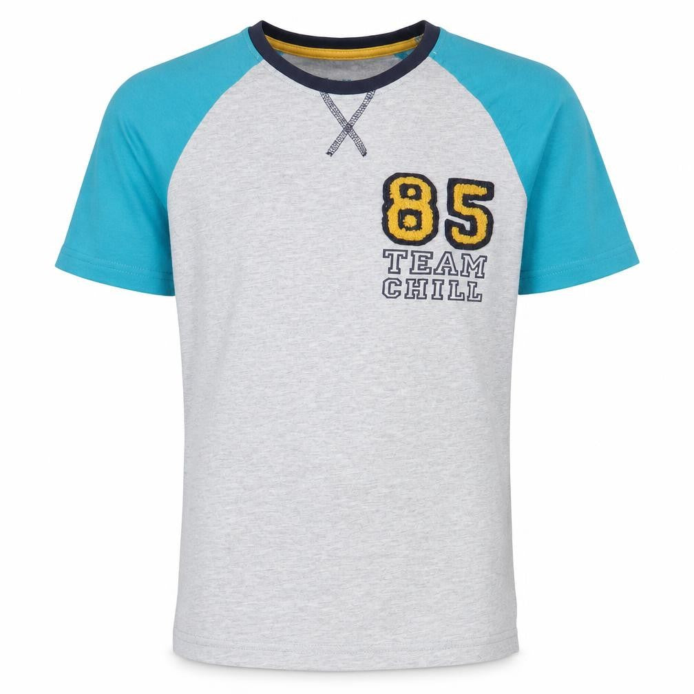 Matalan Boys Grey  Cotton Basic T-Shirt Size 13 Years Round Neck  - Team Chill