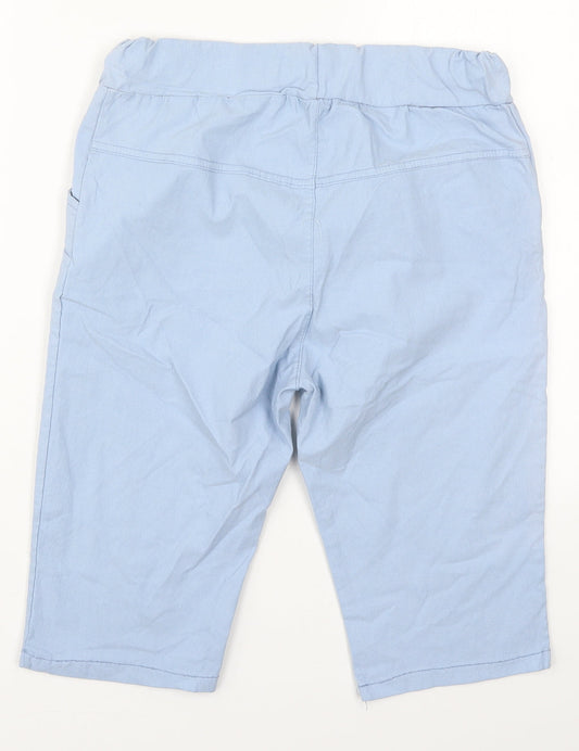 Preworn Womens Blue  Viscose Bermuda Shorts Size 28 in L12 in Regular