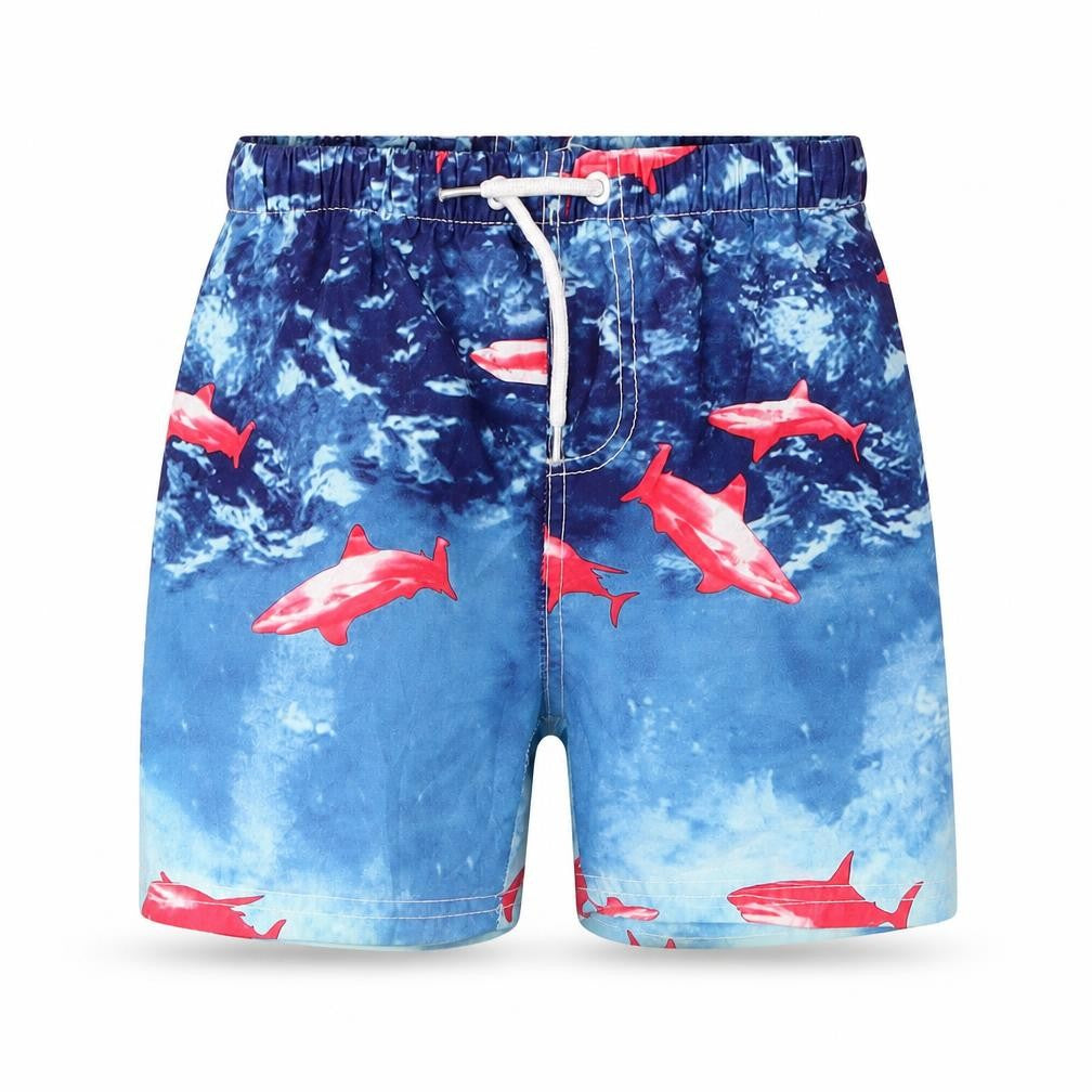 Hullabaloo Boys Blue  Polyester Sweat Shorts Size 5 Years  Regular Drawstring