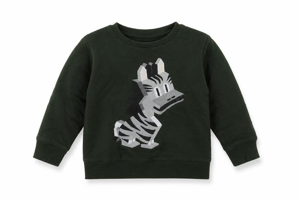 NEXT Boys Green  Cotton Pullover Sweatshirt Size 2 Years  Pullover - Zebra