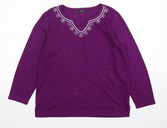 Bonmarché Womens Purple V-Neck  Polyester Pullover Jumper Size S
