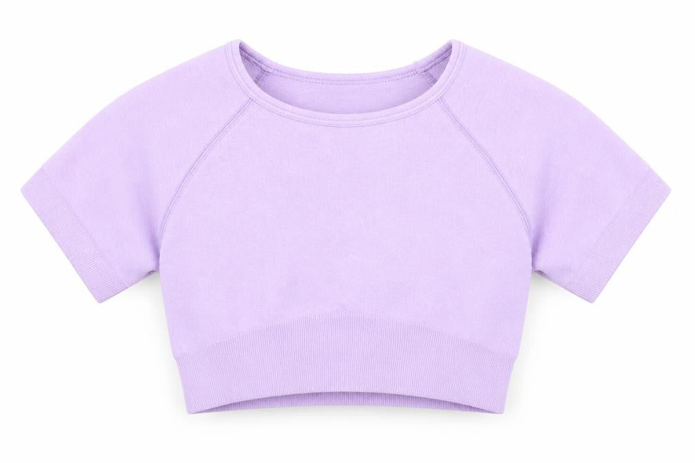 Preworn Womens Purple  Nylon Cropped T-Shirt Size XS Round Neck