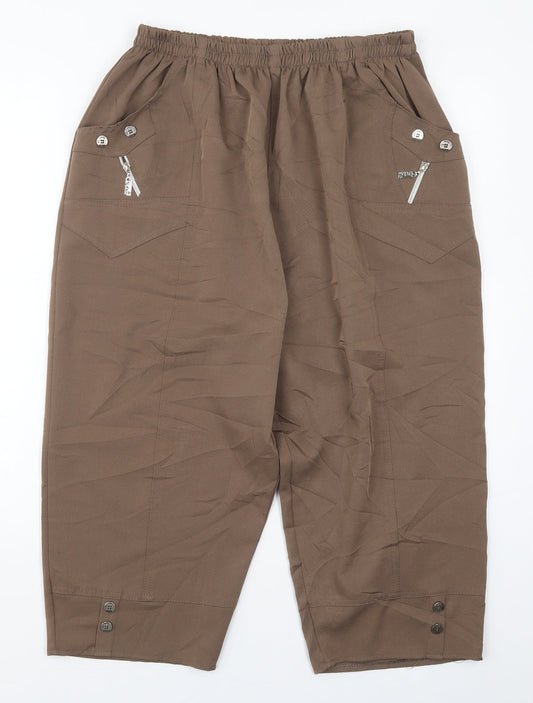 Preworn Womens Brown  Polyester Trousers  Size 30 in  Regular