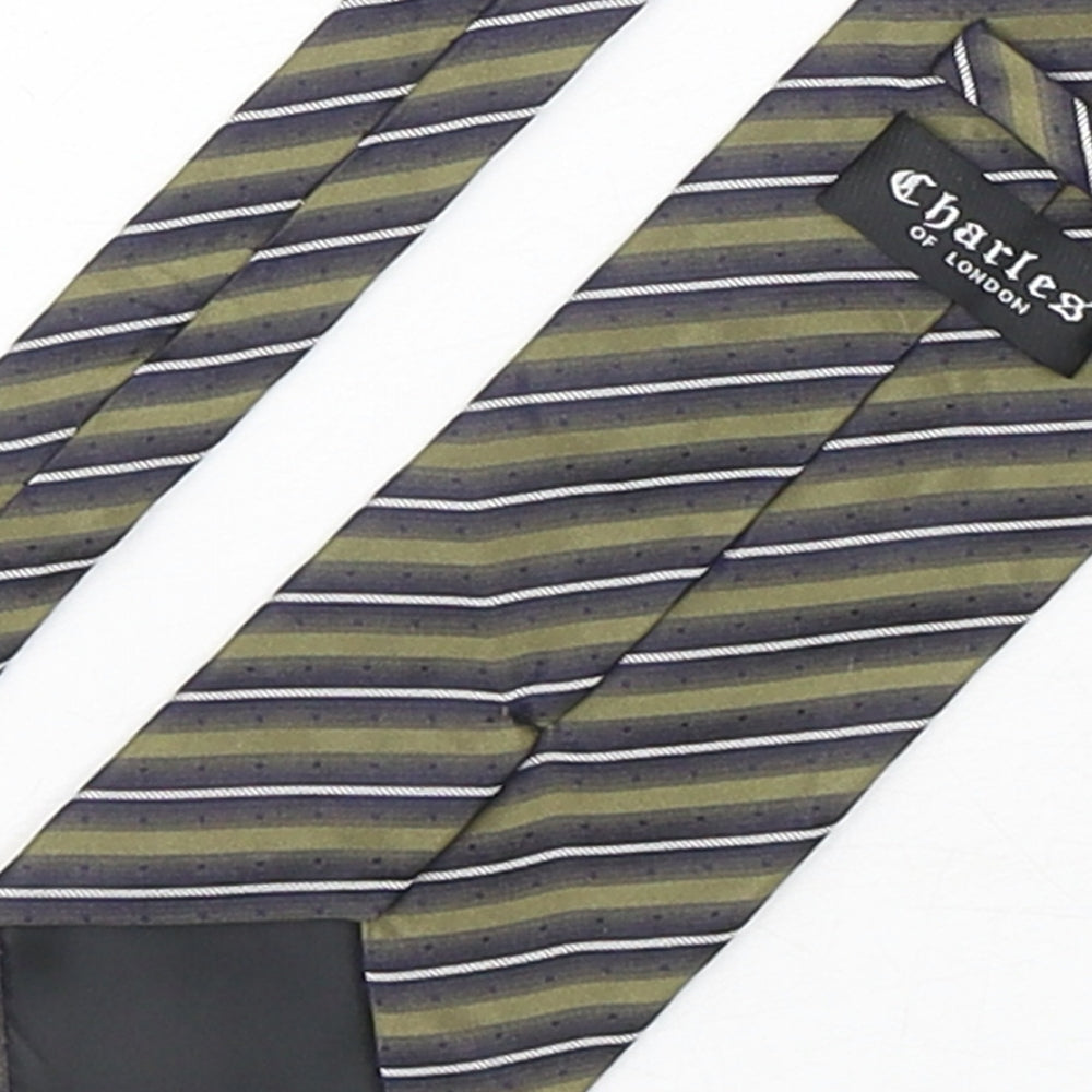 Charles  Mens Multicoloured Striped Silk Pointed Tie One Size