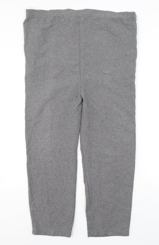NSF Womens Grey  Polyester Trousers  Size 10 L25 in Regular