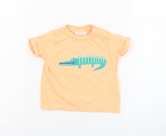 NEXT Boys Orange  Cotton Basic T-Shirt Size 0-3 Months Round Neck Pullover - Crocodile