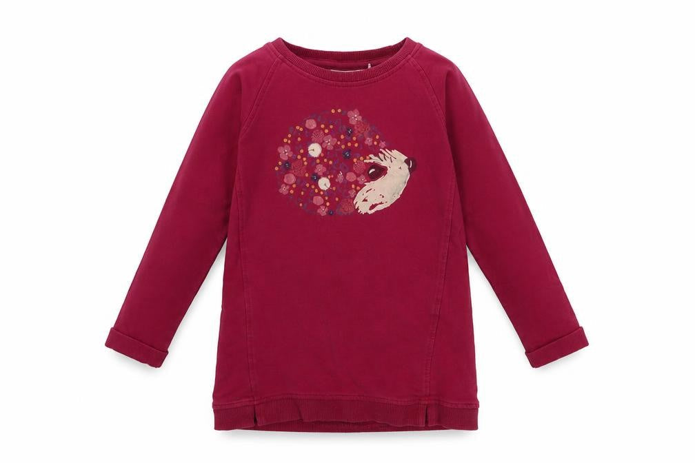 name it Girls Purple  Cotton Pullover Sweatshirt Size 4 Years  Pullover - Hedgehog