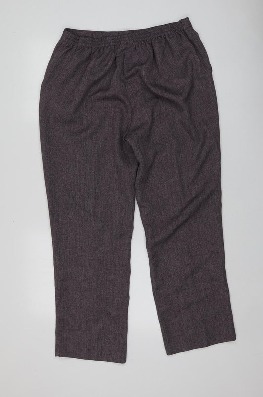 Damrat Womens Purple  Polyester Chino Trousers Size 18 L28 in Regular