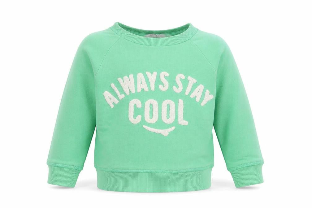 H&M Boys Green  Cotton Pullover Sweatshirt Size 2 Years