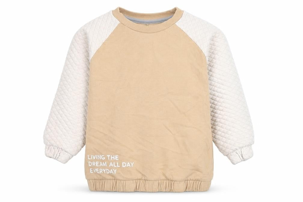 George Boys Brown Cotton Pullover Sweatshirt Size 3-4 Years Pullover - Living the Dream