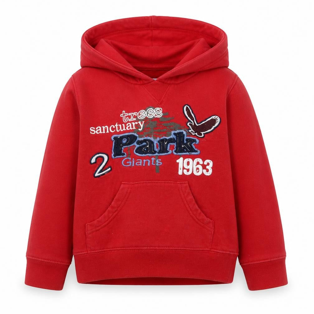 Dunnes Boys Red Cotton Pullover Hoodie Size 2-3 Years Pullover - Trees Sanctuary Park