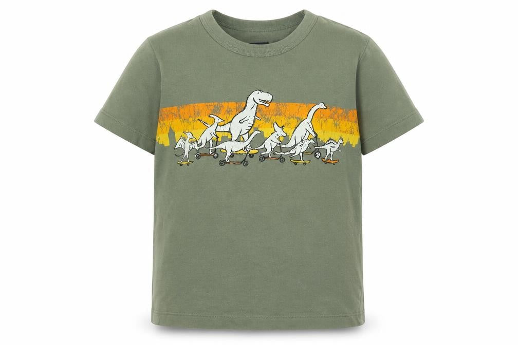 Gap Boys Green Cotton Basic Casual Size 5 Years Round Neck Pullover - Dinosaur