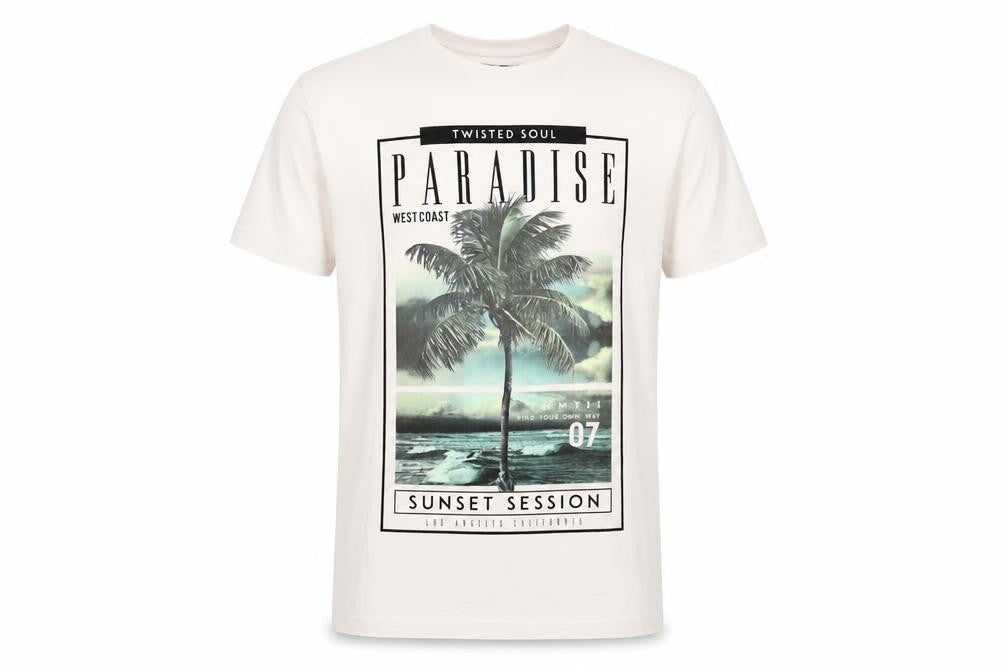 Twisted Soul Mens Pink Cotton T-Shirt Size S Crew Neck - Paradise