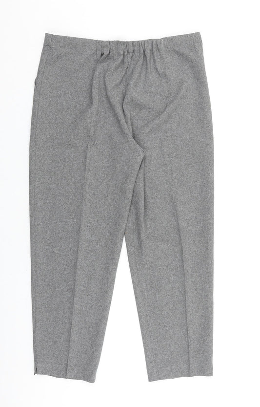 Emma Collection Womens Grey Polyester Dress Pants Trousers Size 14 L27 in Regular