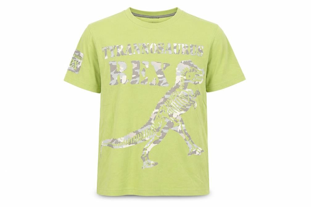 Next Boys Green Cotton Basic T-Shirt Size 11 Years Round Neck Pullover - Dinosaur