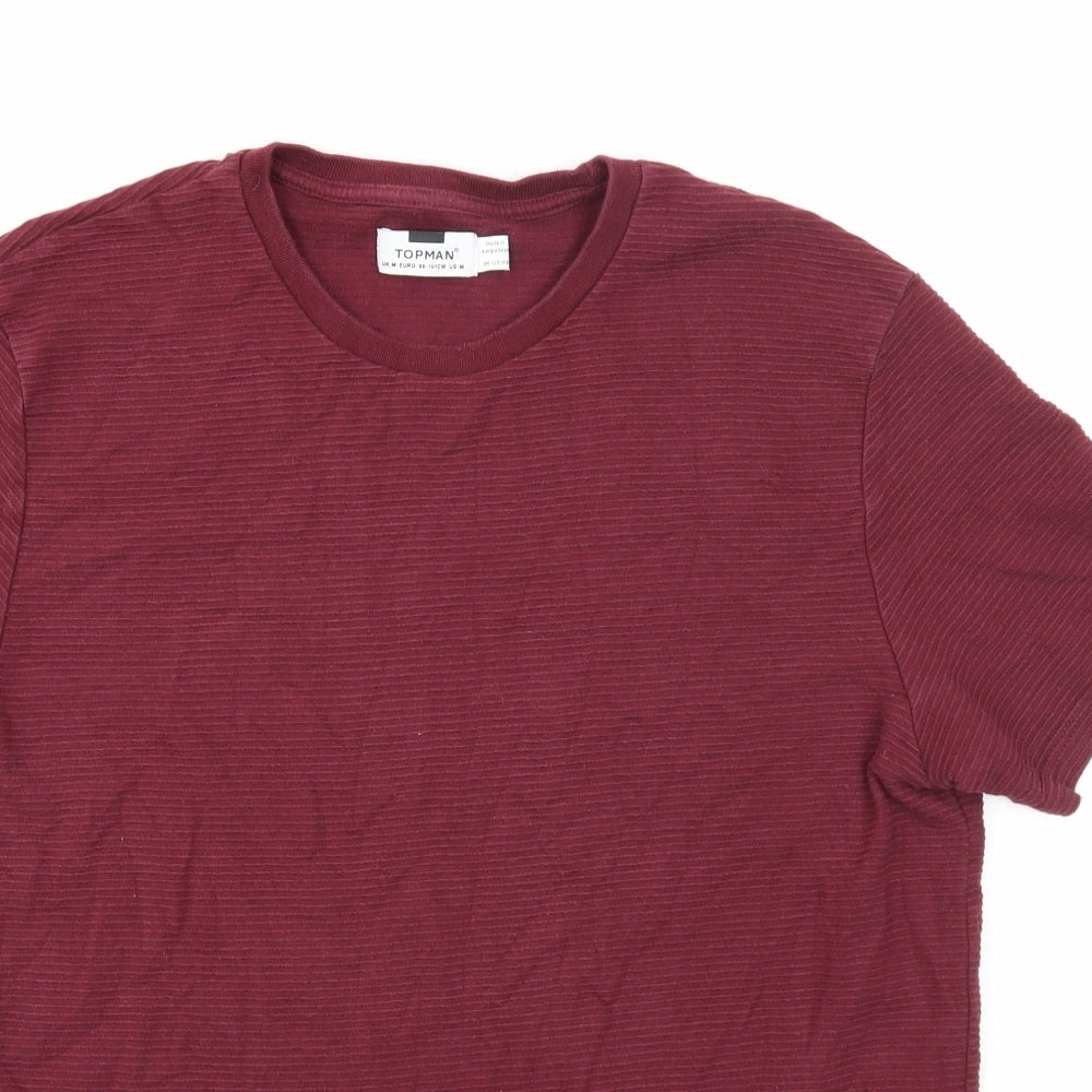 Topman Womens Purple Striped Cotton Basic T-Shirt Size M Round Neck