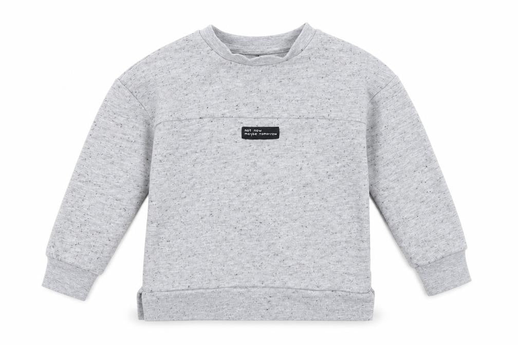 George Boys Grey Polyester Pullover Sweatshirt Size 2-3 Years Pullover