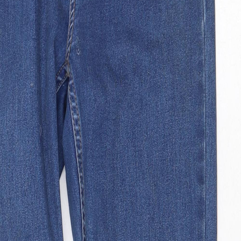 Preworn Womens Blue Cotton Skinny Jeans Size 28 in Regular Zip