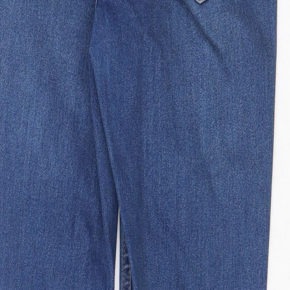 Preworn Womens Blue Cotton Skinny Jeans Size 28 in Regular Zip