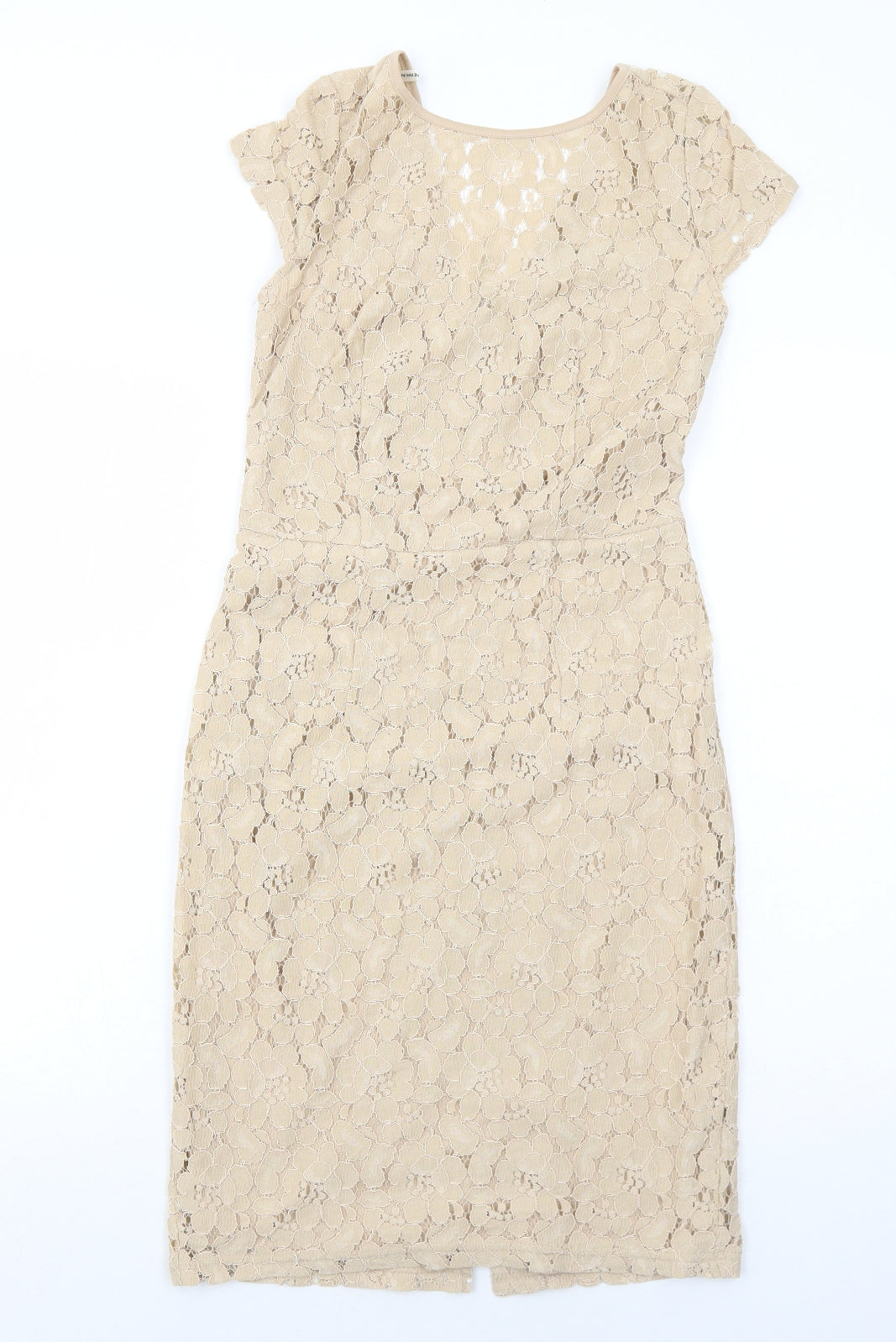 Dorothy Perkins Womens Beige Floral Nylon A-Line Size 8 Round Neck Zip