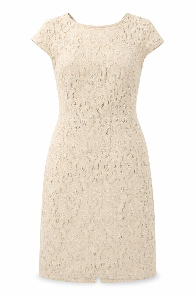 Dorothy Perkins Womens Beige Floral Nylon A-Line Size 8 Round Neck Zip