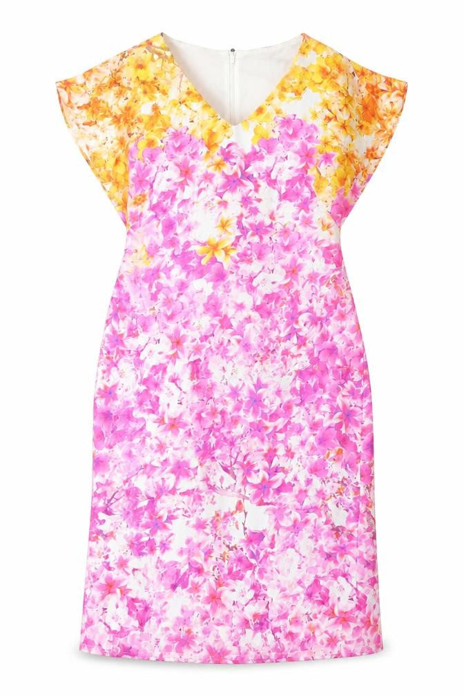 Damsel in a Dress Womens Multicoloured Floral Polyester Sheath Size 12 V-Neck Zip