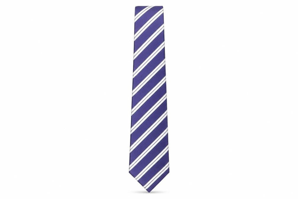 Olymp Mens Blue Striped Silk Pointed Tie One Size