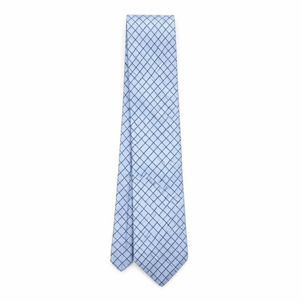 Profump Mens Blue Plaids & Checks Silk Pointed Tie One Size