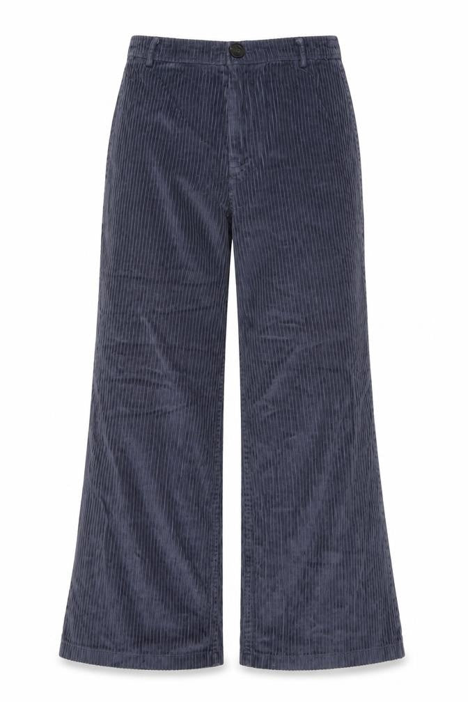 Amuse Womens Blue Cotton Trousers Size 26 in L26 in Regular Zip - Pockets