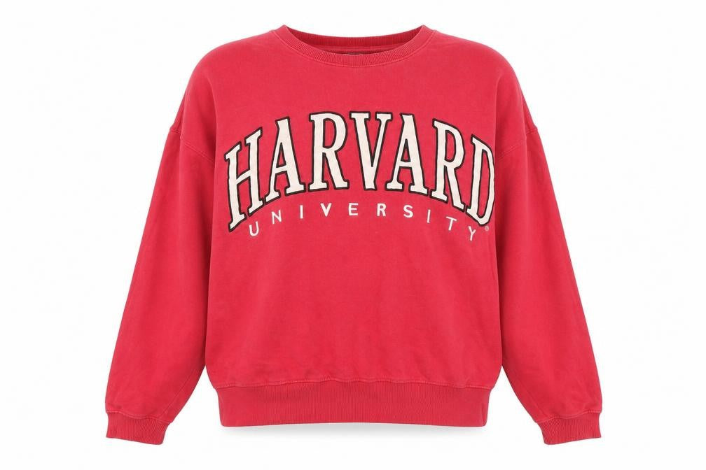 Womens UK 20 Regular Harvard Pink Pullover Sweatshirt