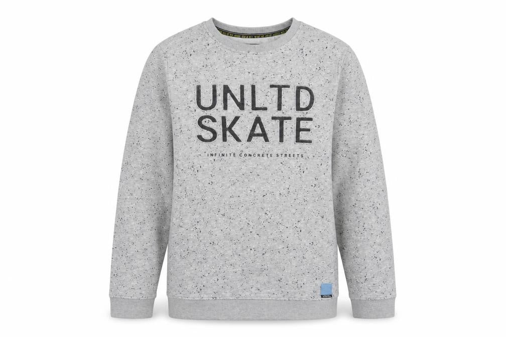 Skate Nation Boys Grey Cotton Pullover Sweatshirt Size 12 Years Pullover - Embroidered