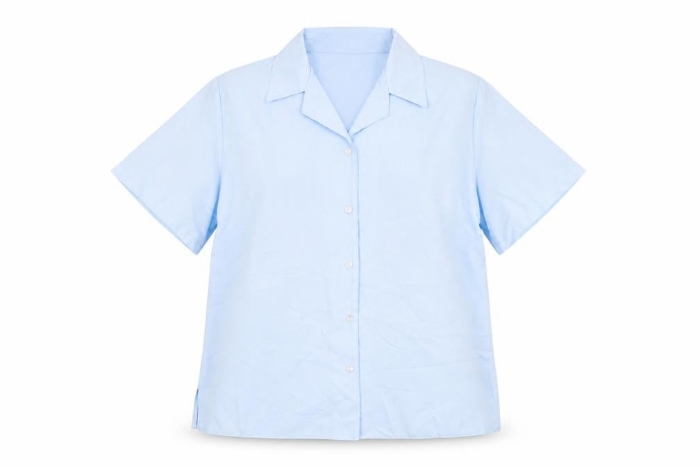 Emma Collection Womens Blue Polyester Basic Button-Up Size 18 Collared