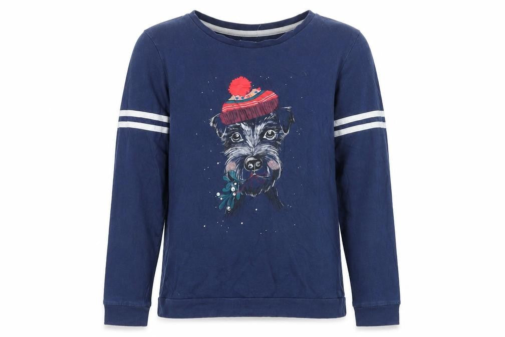Marks and Spencer Girls Blue Polyester Pullover Sweatshirt Size 14-15 Years Pullover - Dog