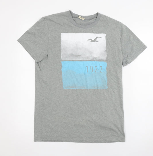 Hollister Unisex Grey T-Shirt M Crew Neck Casual