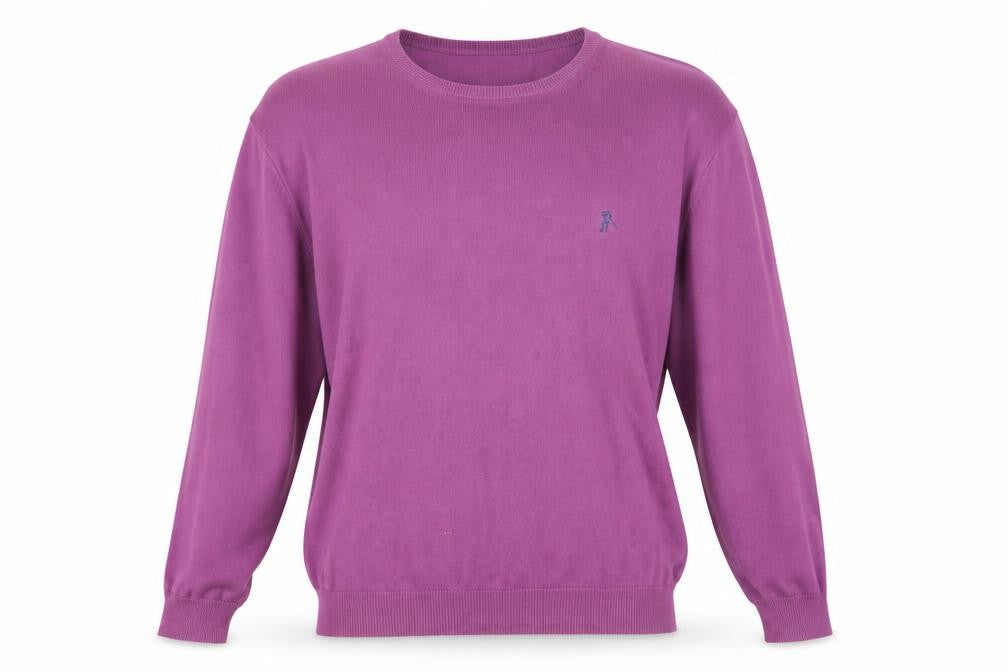 Cricket & Co Men's Purple Cotton Pullover, L, Crew Neck