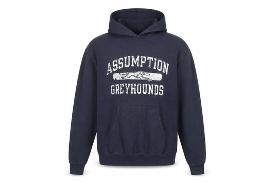 Champion Mens Blue Hoodie Medium Pullover