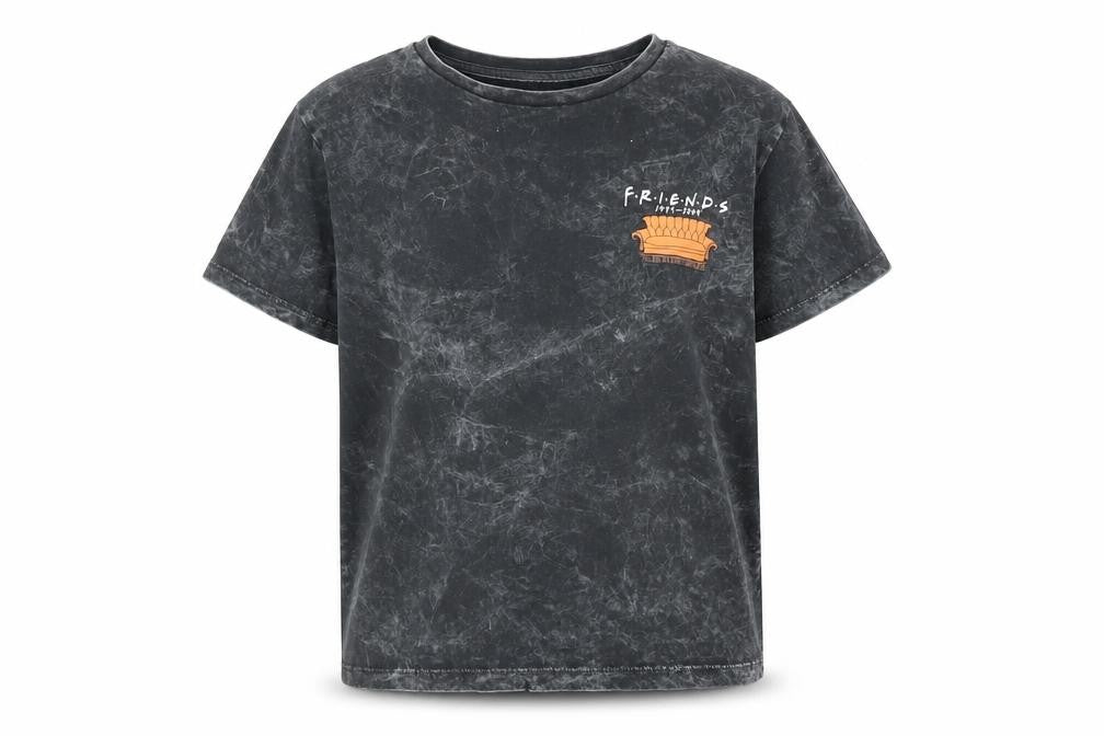 Front view of M&Co girls’ grey friends graphic t-shirt 15-16 years