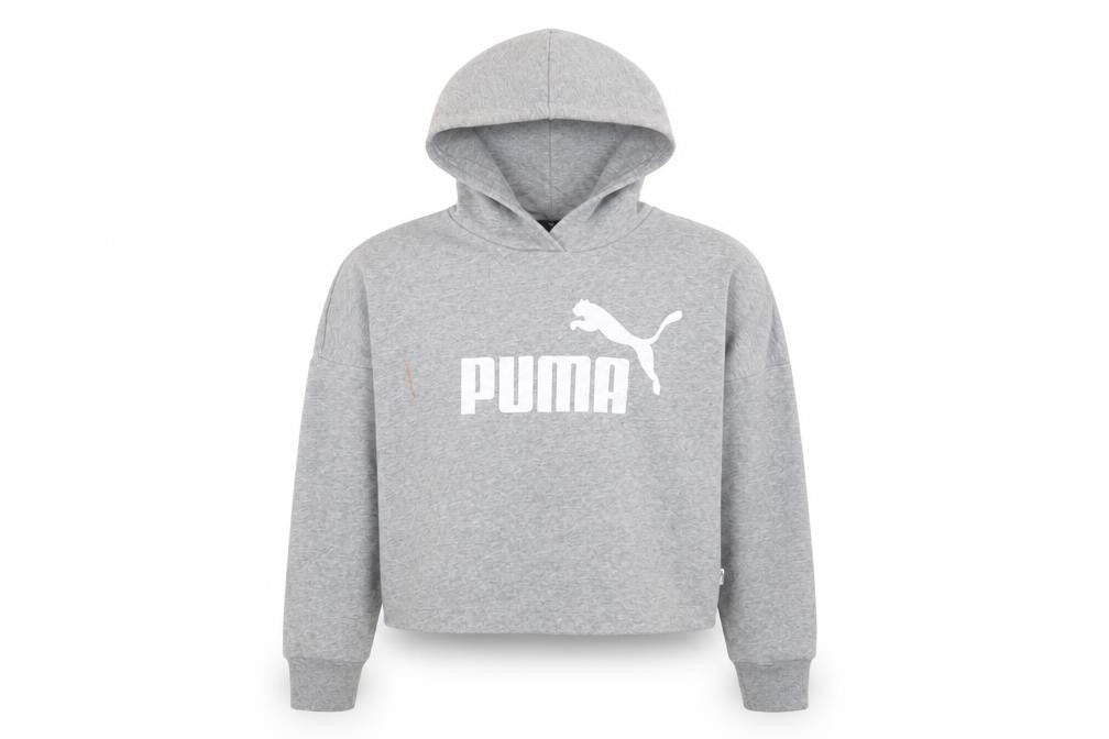Front view of Puma girls’ grey pullover hoodie - 11-12 years, logo, casual