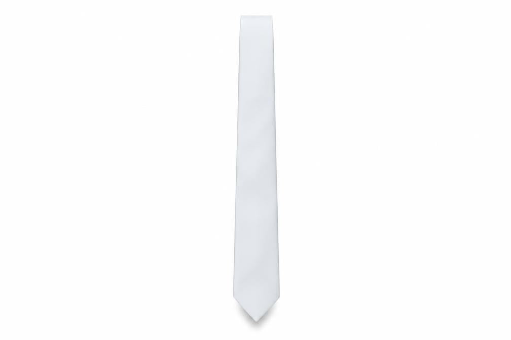 Jacques Ester Men’s Silver Slim Tie 100% Polyester