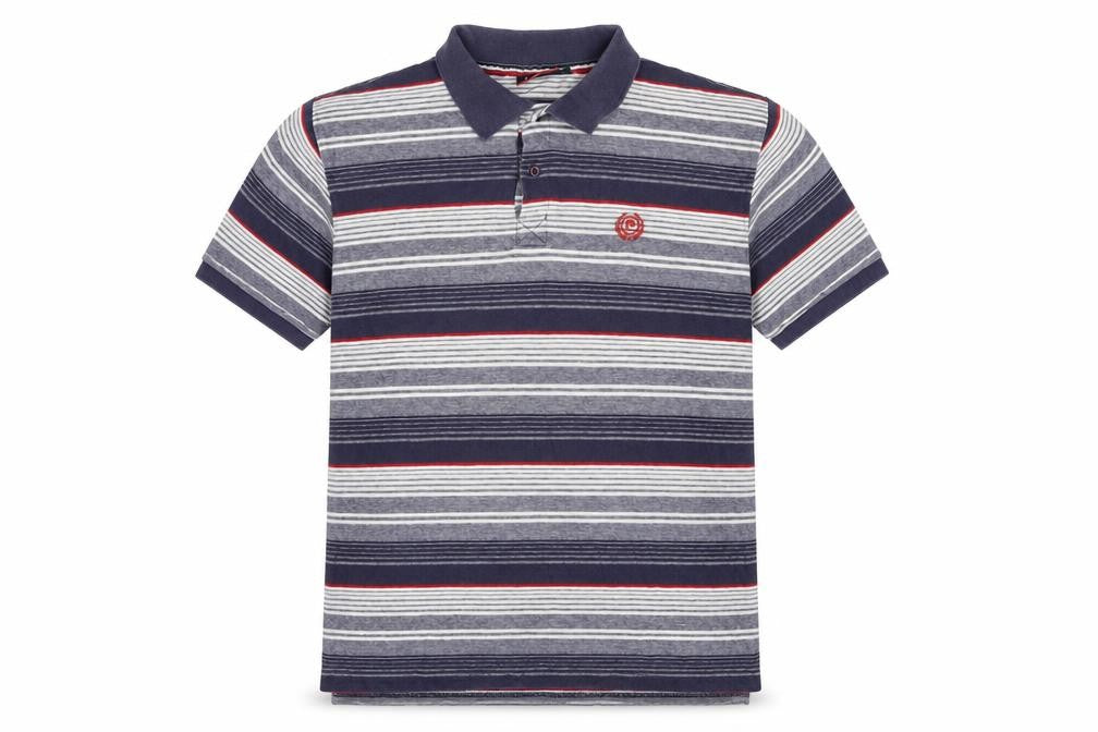 Pierre Cardin Men's Multicoloured XL Striped Polo