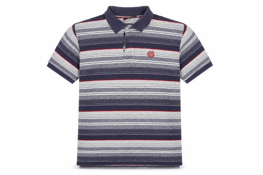 Pierre Cardin Men's Multicoloured XL Striped Polo