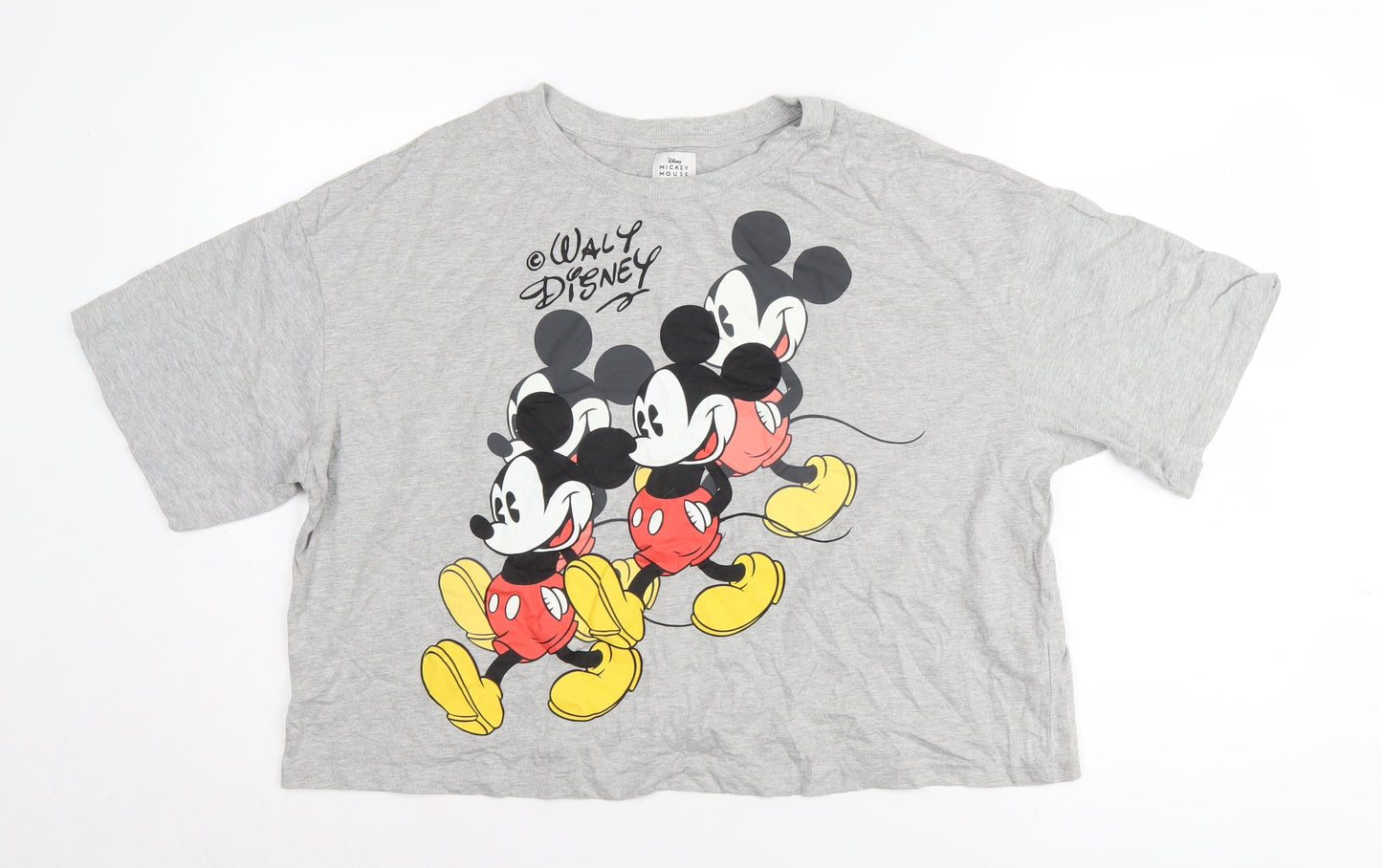 Disney Grey Mickey Mouse Unisex T-Shirt, M, Casual Fun