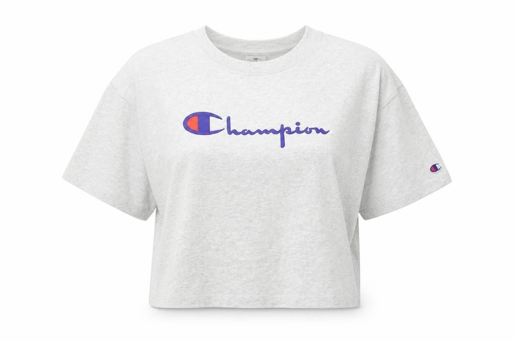 Unisex Adultss UK Size XS Champion Grey Cotton T-Shirt