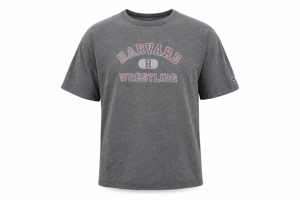 Mens UK Size L Champion Grey  Cotton T-Shirt