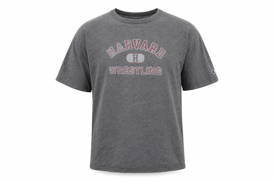 Mens UK Size L Champion Grey  Cotton T-Shirt