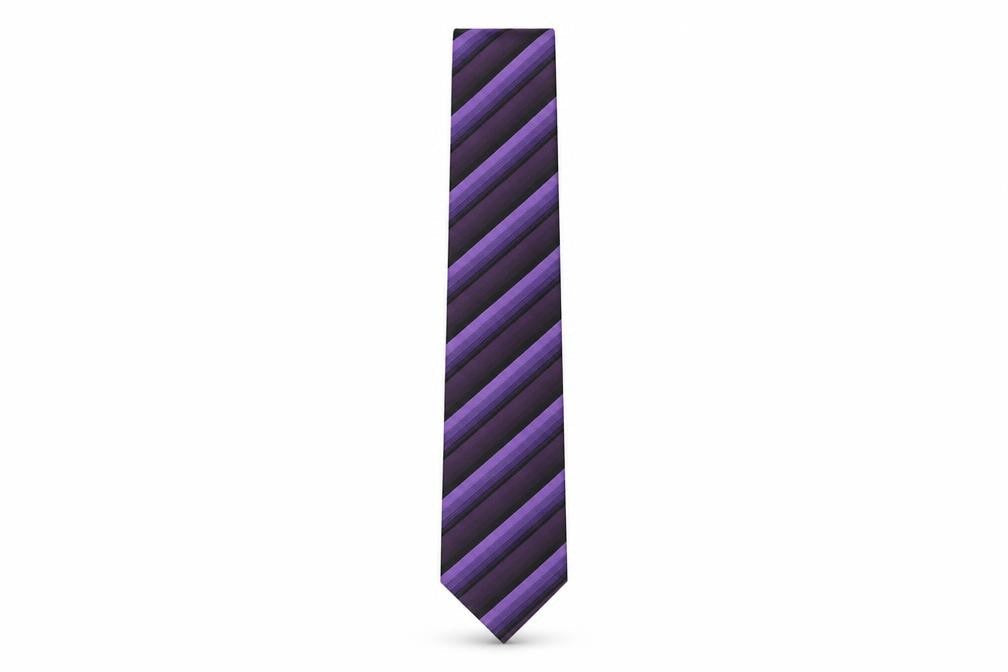 Daniel Hechter Men's Purple Striped Silk Tie
