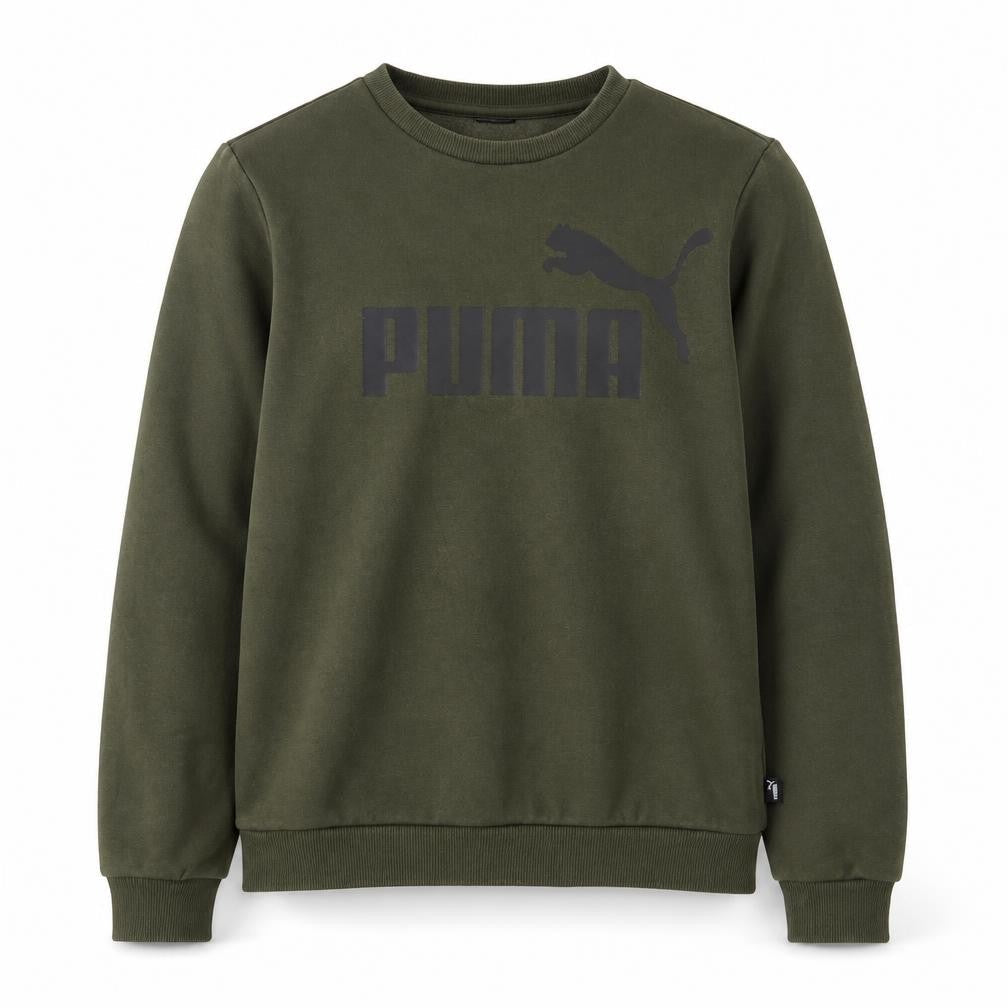 Front view of Puma boys’ green logo pullover sweatshirt, 14 years