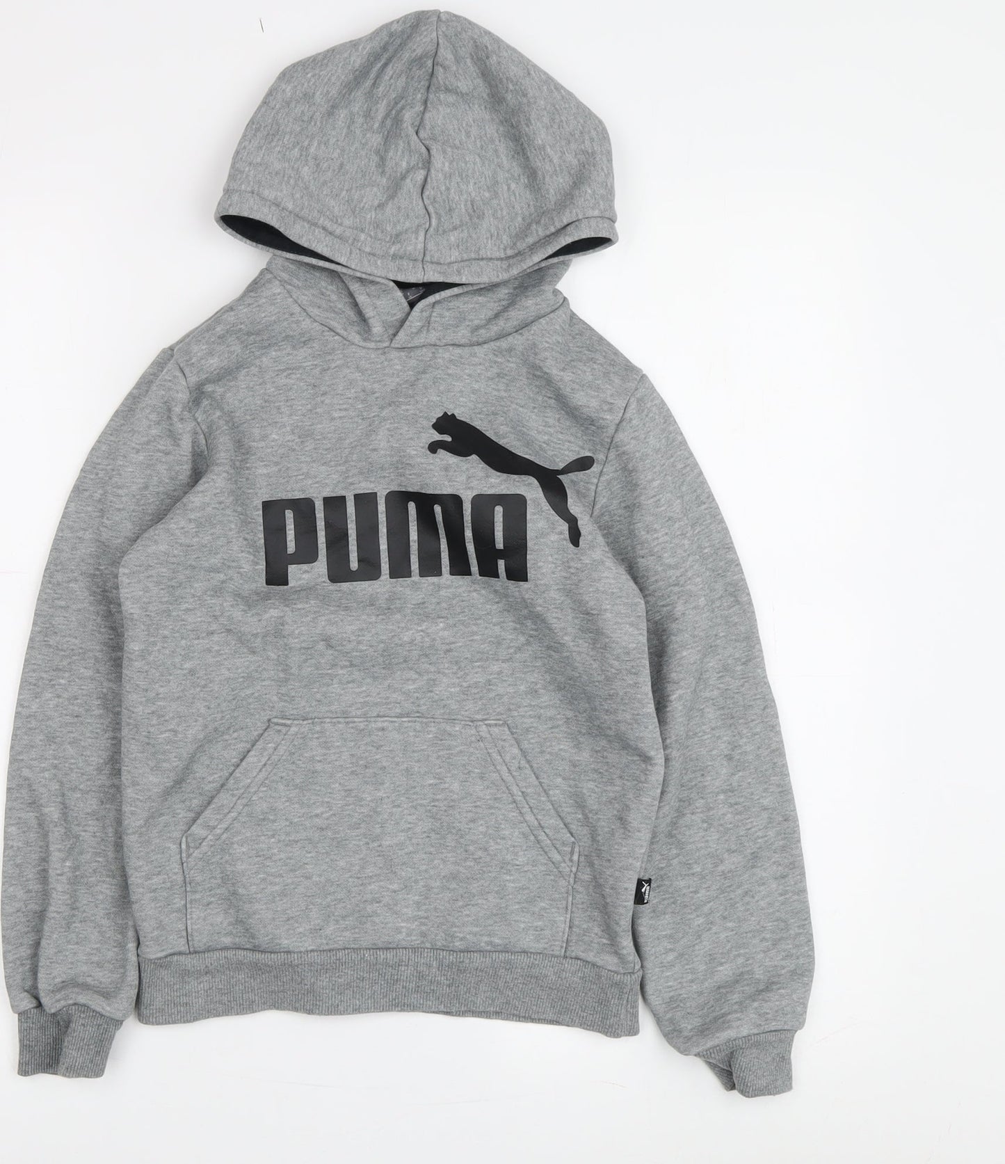 Puma Boys Grey Logo Hoodie, 9-10 Years, Pullover
