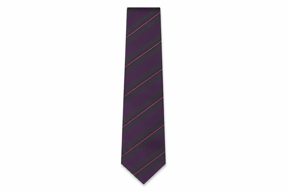 Front view of Thomas Nash Men's Purple Striped Tie